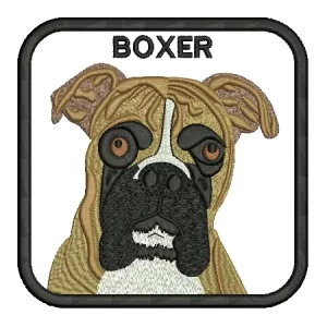 PBEA004 Boxer