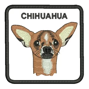 PBEA006 Chihuahua