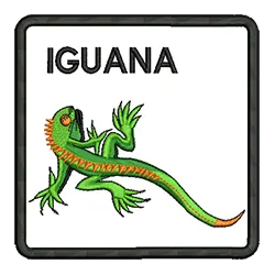 PBEA065 Iguana