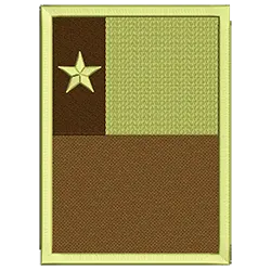 PBTC579B Bandera Táctica de Chile
